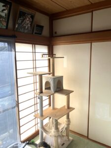 藤沢市G様邸和室ビフォー画像1